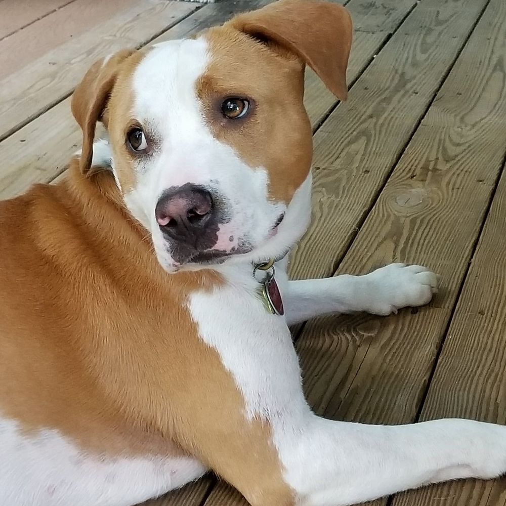 Meet your Posher, Lindsey